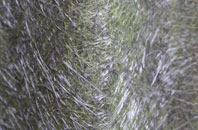 Pett Bottom fibreglass roof work